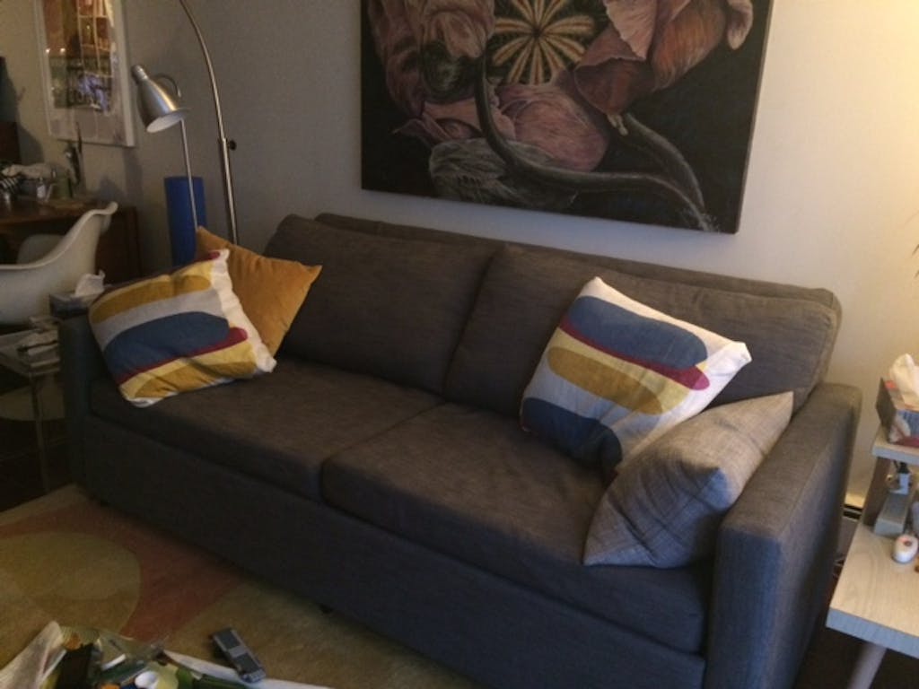 Harmony King Sofa bed with Memory Foam Expand Furniture Folding